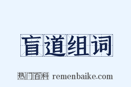 盲道组词是什么意思的图片